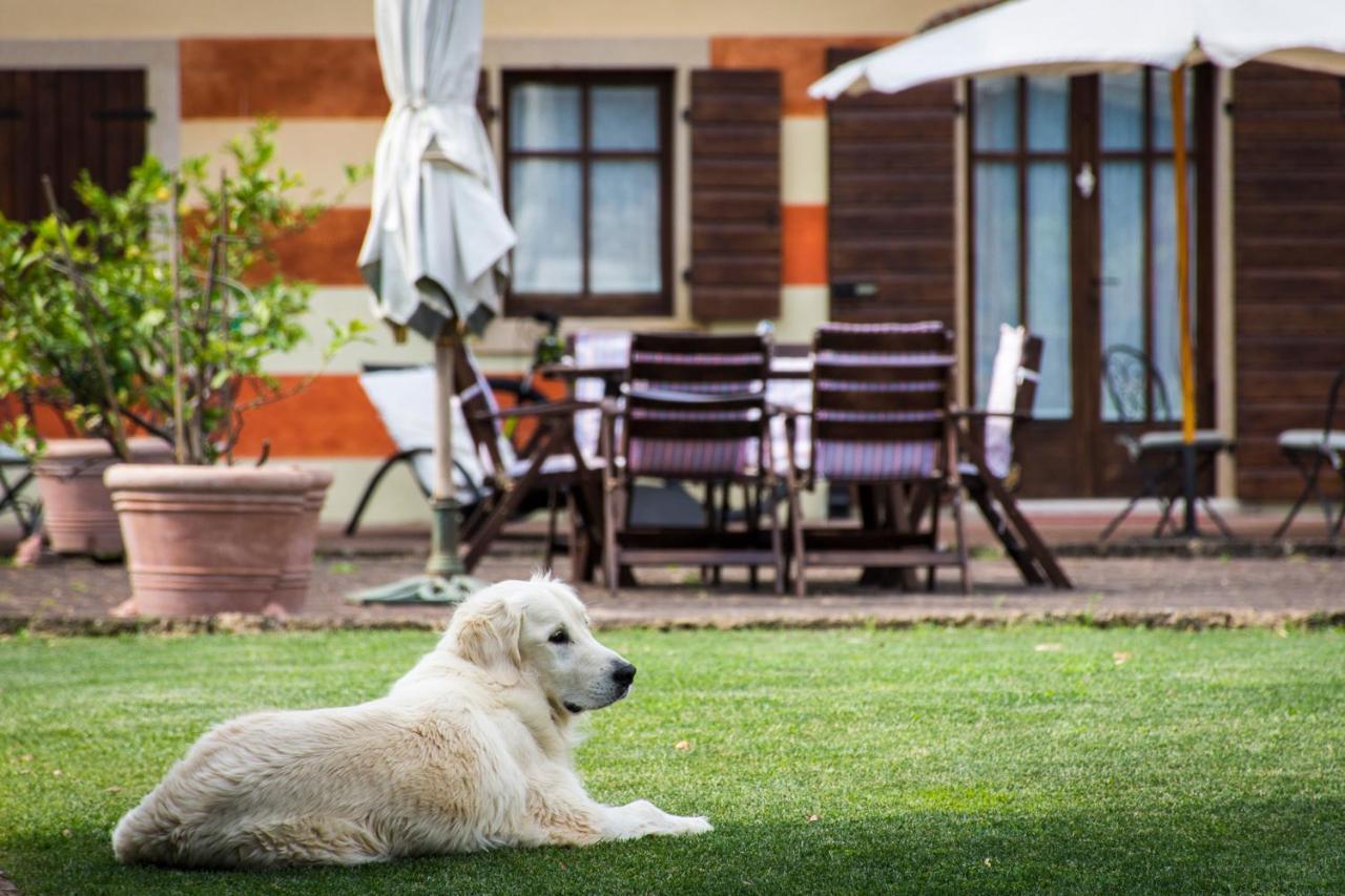 Musella Winery & Relais Casa di campagna *