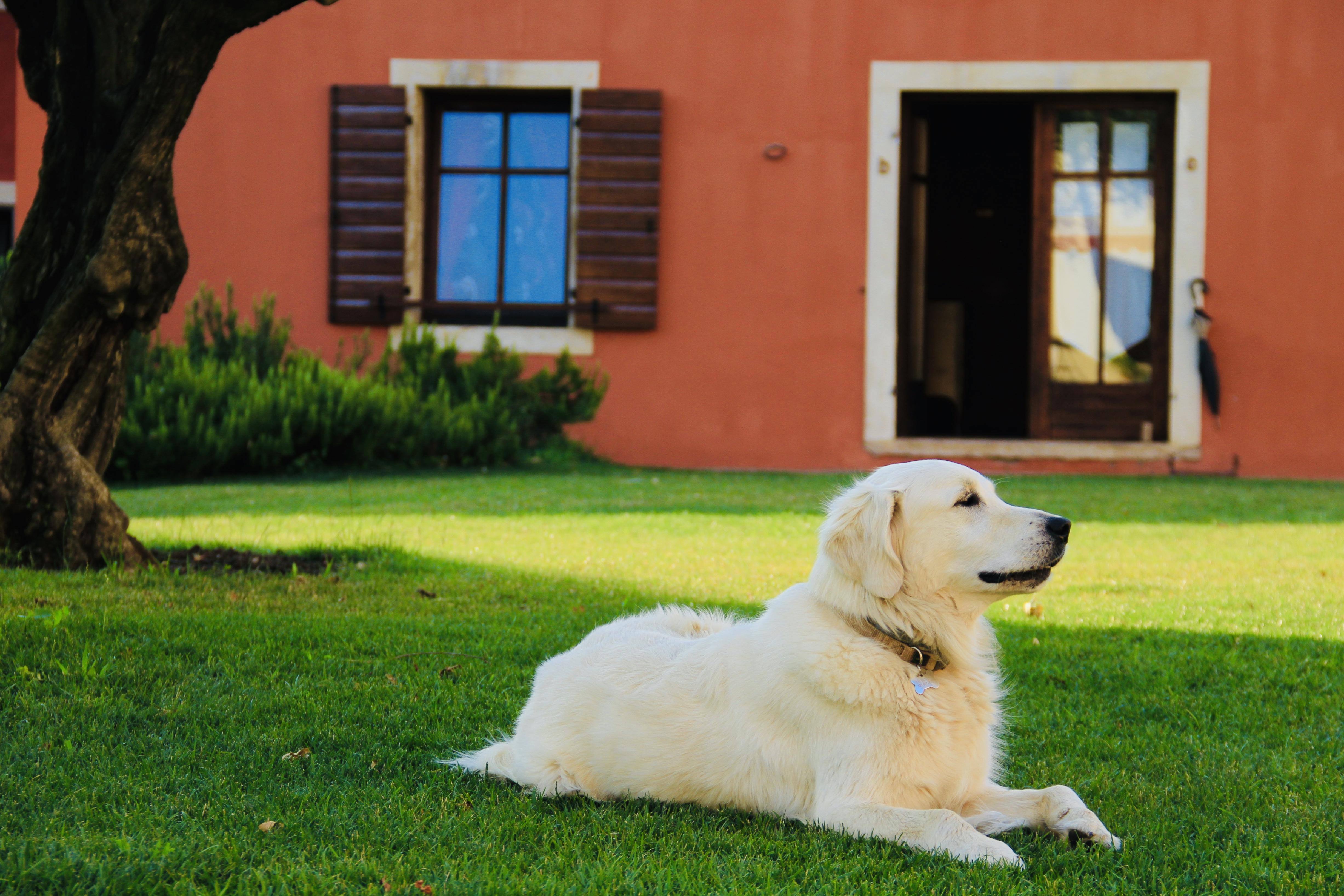 Country house Musella Winery & Relais *
